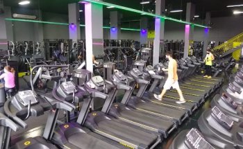 Engenharia do Corpo Matteo Gianella