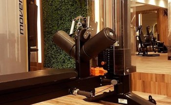 Wellness Academia Personalizada