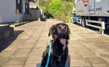 ACADEMIA BOA FORMA LUTAS (UNIDADE 2)