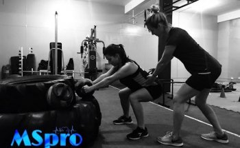 MS pro treinamento funcional