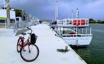 Academia Perfect Form