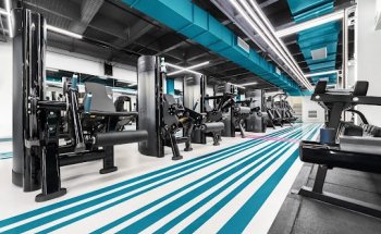 Ultra Academia Augusta