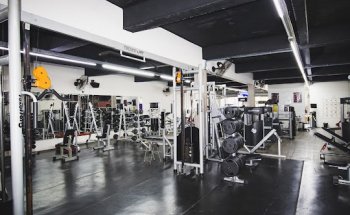 PERFECT ACADEMIA FIT