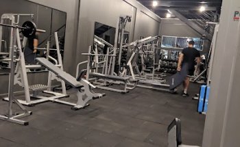 Agnus Personal Studio