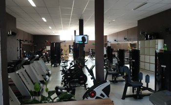 Evolution Gym