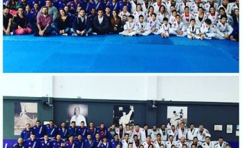 Gracie Barra Navegantes