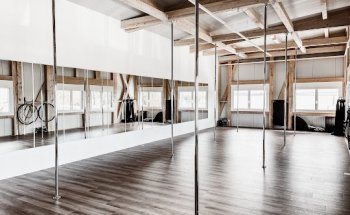 OZ Fitness Artistic Studio - EMS Electrostimulation, pole dance, cerceau, tissu, pound...