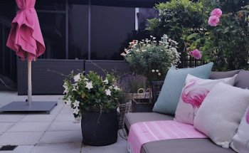 DaSHA – Dance to Shape