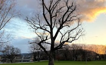 Street workout Birsfelden (Outdoor training)