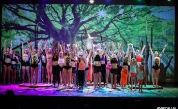 Pole Movement Dance Studio