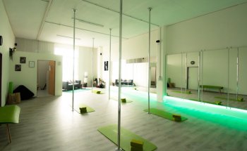 FLOW. Polefitness & Aerial Hoop Rothrist