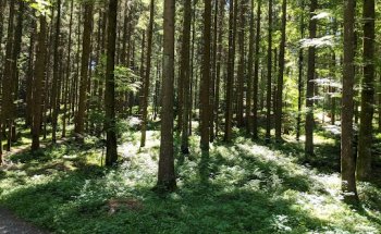 Vitaparcours Zollikofen