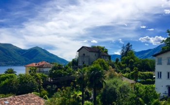 Casa dei Tre Tesori, Studio di Medicina Trad. Cinese e Ayurveda