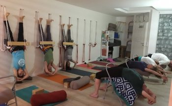 Iyengar Yoga La Cote