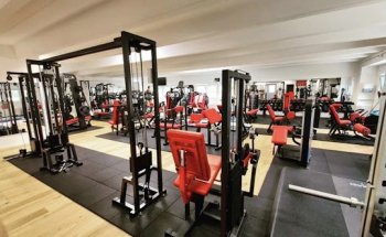 Schena Factory Gym Sagl 1.0