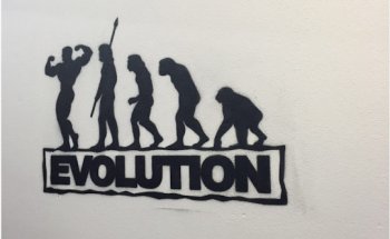 Power Gym Lichtensteig