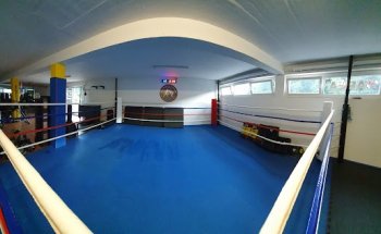 Old School Fighting Lugano