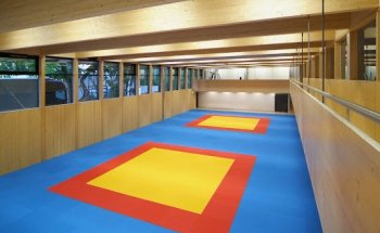 Judo & Ju-Jitsu Club Weinfelden