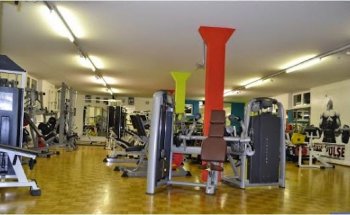 My Pulse Fitness und Kampfsport