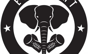 Elephant Gym