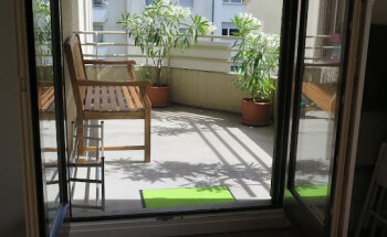 Ayalga Yoga - Iyengar Yoga in Basel