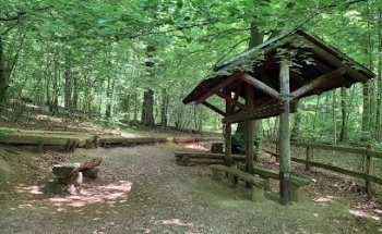 Finnenbahn Riehen BS