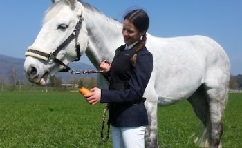 Reithalle Härkingen