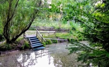 Kneippstelle Oeschbach