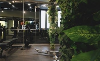 Zenzero Wellness Area