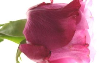 Kreuzlingen.Yoga Karin Gerber