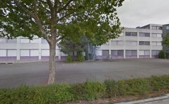 ROJALE / Thaiboxen, Kickboxen, Boxen, Selbstverteidigung (Krav Maga)