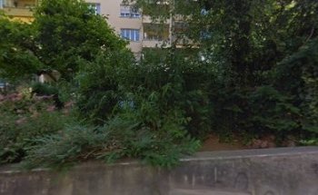 Bern BASKETBALL Bern