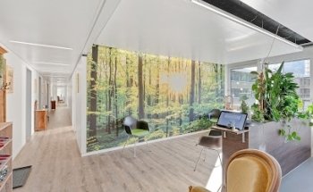 Physiotherapie am Pärkli - Andrea Borruat GmbH