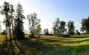 dana's pilates & fitness