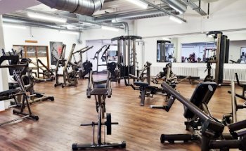 Bull-Gym Muskelzwinger