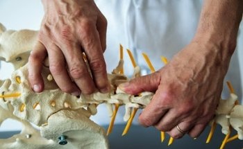 Physiothérapie Dino