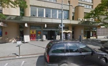 Laïs, Training & Therapie / Katharina Suffak