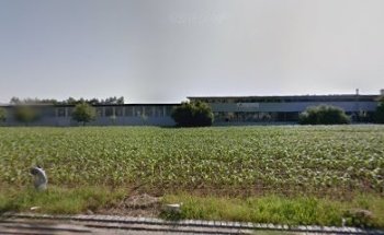 move-4you - Fitness-Trampolin