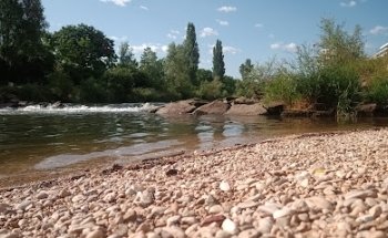 PWRPLNT Birs-Dip | PWRPLNT Breathwork & Cold Exposure