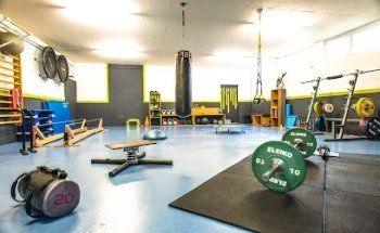 Alexandre Plaschy - Functional Fit