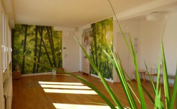 The Yogarden - Studio Yoga