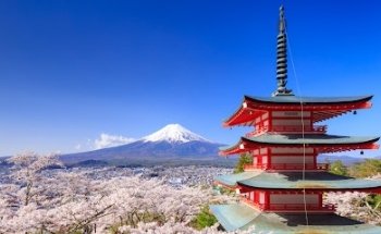 Qi Gong Brugg - Kampfsportschule Aarau -