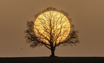 LoveandLight Yoga | Meditation | Integral Coaching