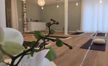 Yoga/Schwangerschaftsyoga Region Brugg