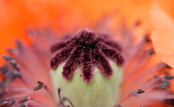 YOYO Balance your Life