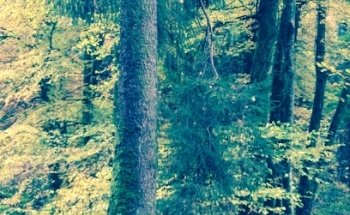 Yoga Source Sandra Vermette