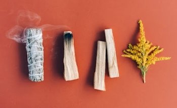 Dominique Iseppi / Yoga & Ayurveda