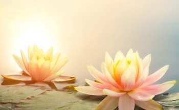 Naturheilpraxis für Tibetische Medizin