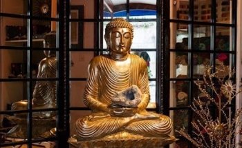 Institut Darshanam Ayurveda Massages , Lenry Francis