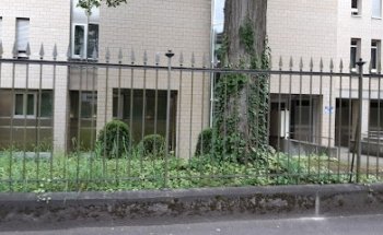 Yogaalaya Bern, Suresh Kumar